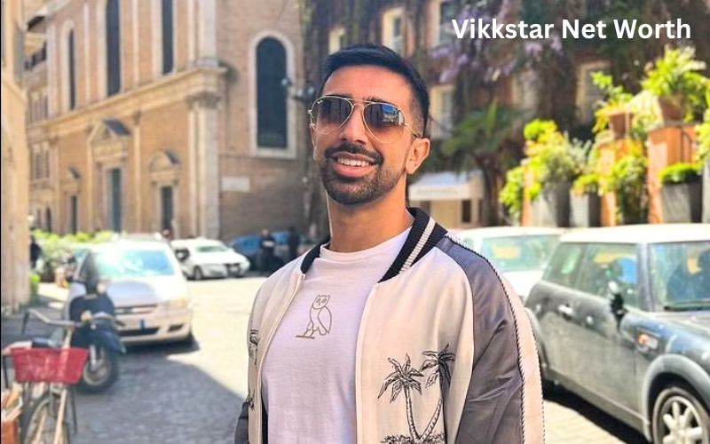 Vikkstar Net Worth, Age, Height, Girlfriend, Career, Biography