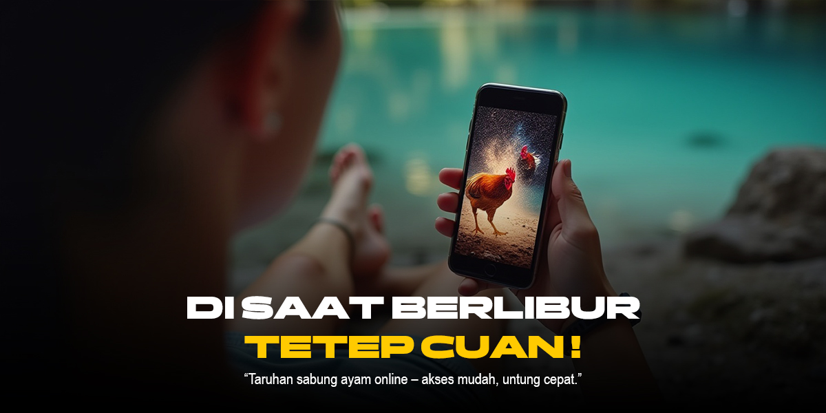 Mengenal Jenis Ayam Aduan Terbaik di Sabung Ayam SV388